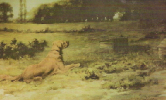 An “Ilchester” Retriever. Color print, signed by Maud Earl, 1906. Courtesy of R. Page Elliott