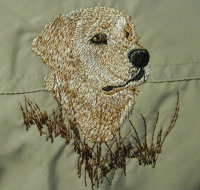 Buck-design - Golden Retriever Club of America