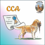 2026 CCA Entry