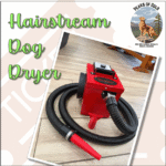 Raffle: Hairstream Dog Dryer