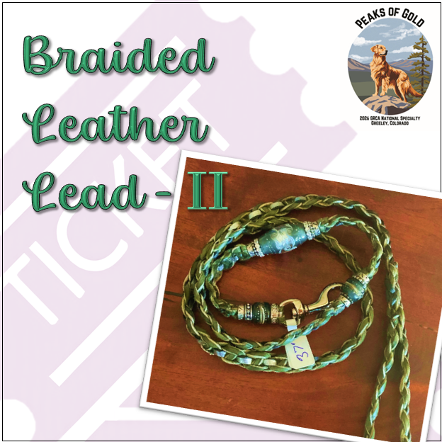 Raffle: Show lead-II