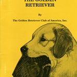 An Introduction To The Golden Retriever