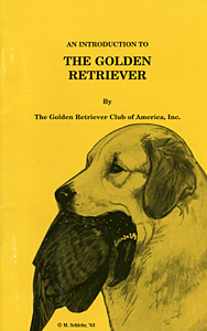 An Introduction To The Golden Retriever