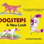Dog Steps By Rachel Page Elliott