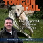 From Tongue To Tail: The Integrated Movement of the Dog